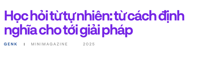 Mối quan hệ cộng sinh giữa các loài cá Cá lau và cá lớn tại rạn san hô Great Barrier