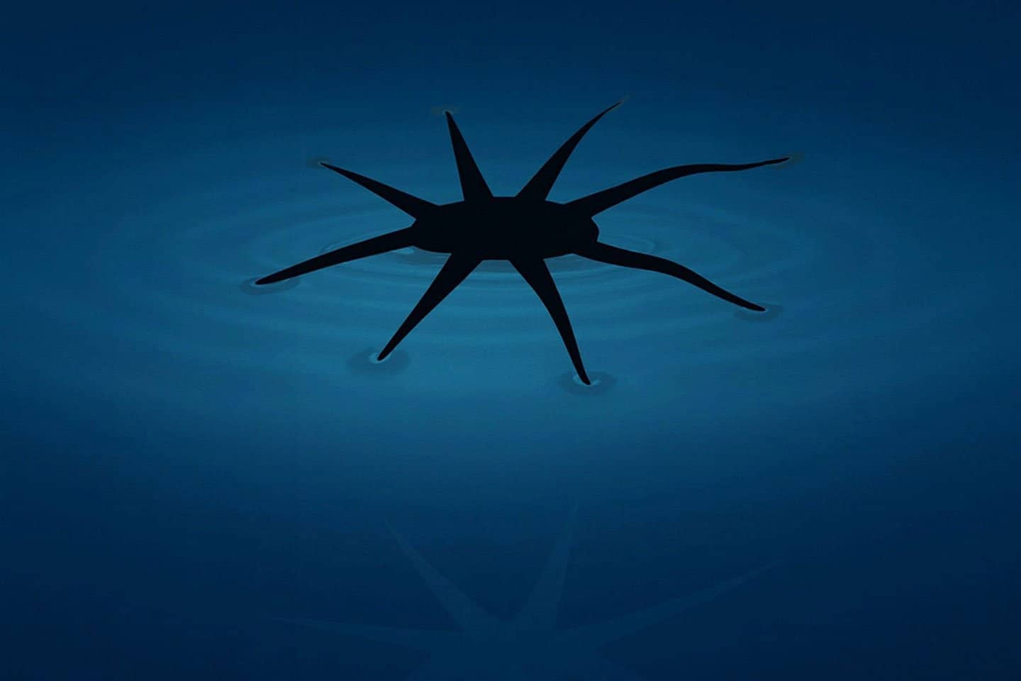 Khắc laser trên mặt nước Laser khắc vật liệu mềm trên mặt nước