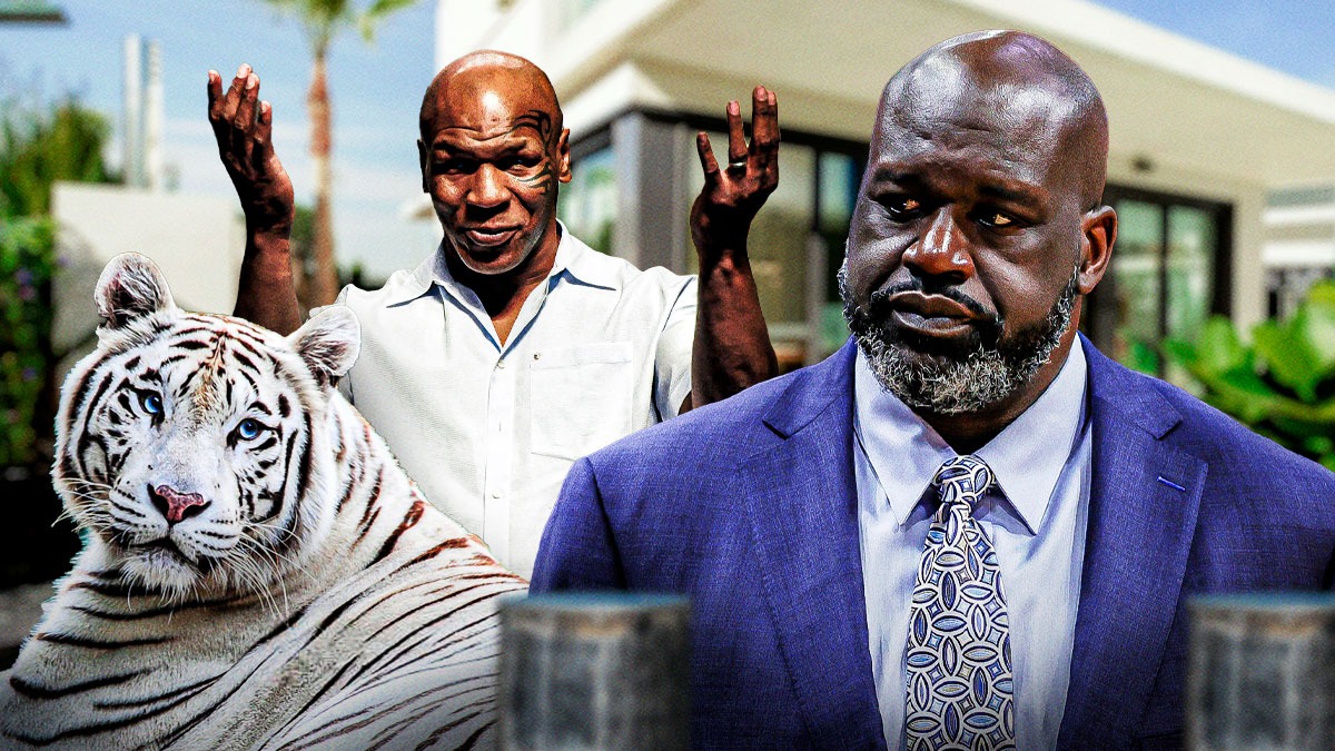 Sức mạnh và khả năng phòng thủ của hổ Hổ với lớp cơ dày và hộp sọ cứng