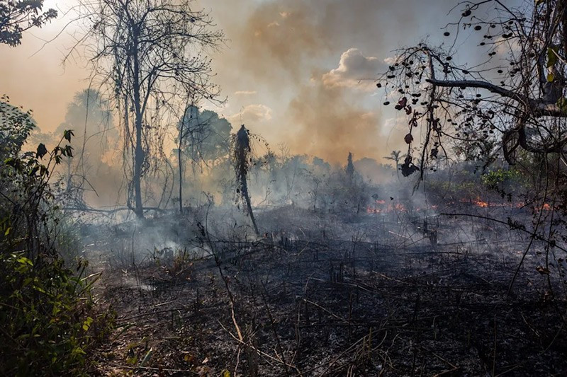 Đại hỏa hoạn Peshtigo tại Wisconsin Lốc lửa dữ dội thiêu rụi hàng triệu mẫu đất