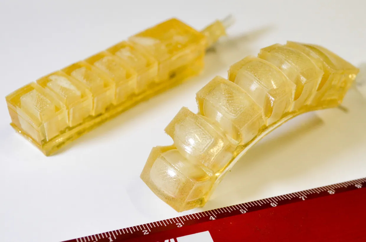 Robot mềm phục vụ động vật hoang dã