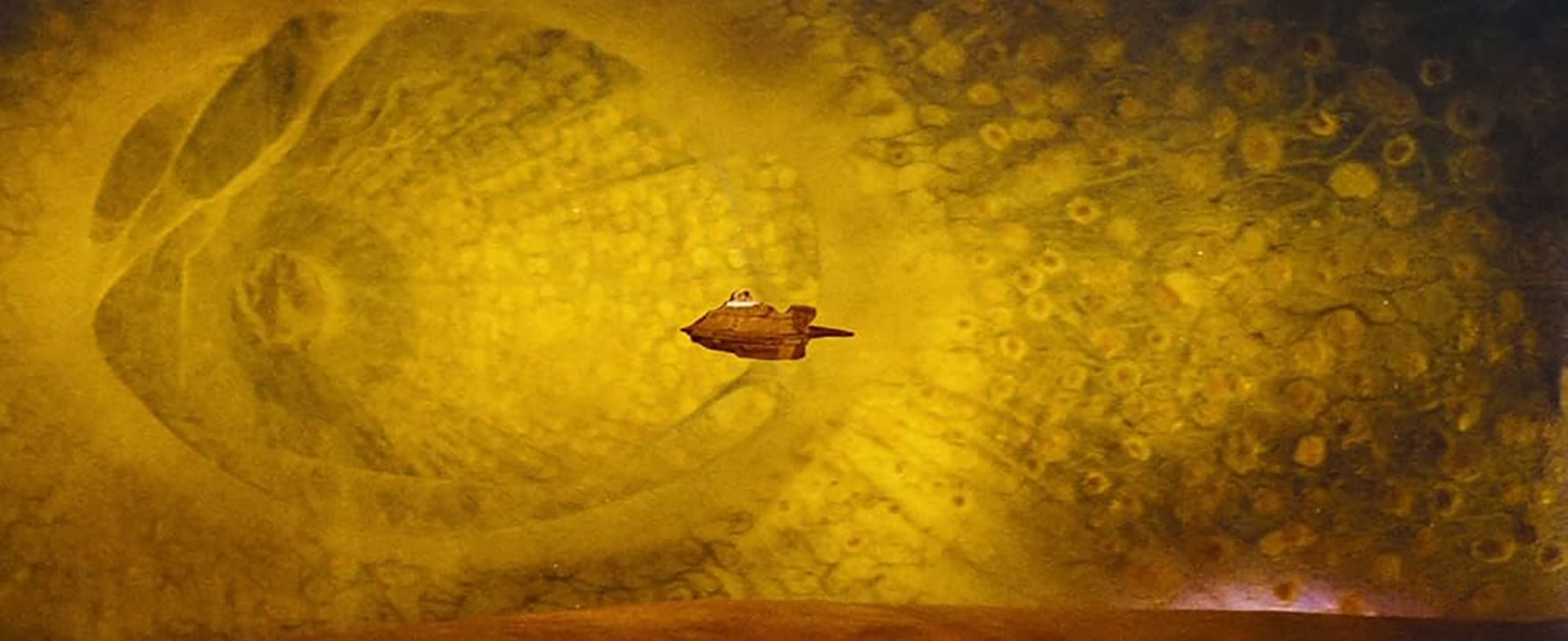 Mô phỏng bản sao số trong nghiên cứu y học Bản sao số sinh học cá nhân