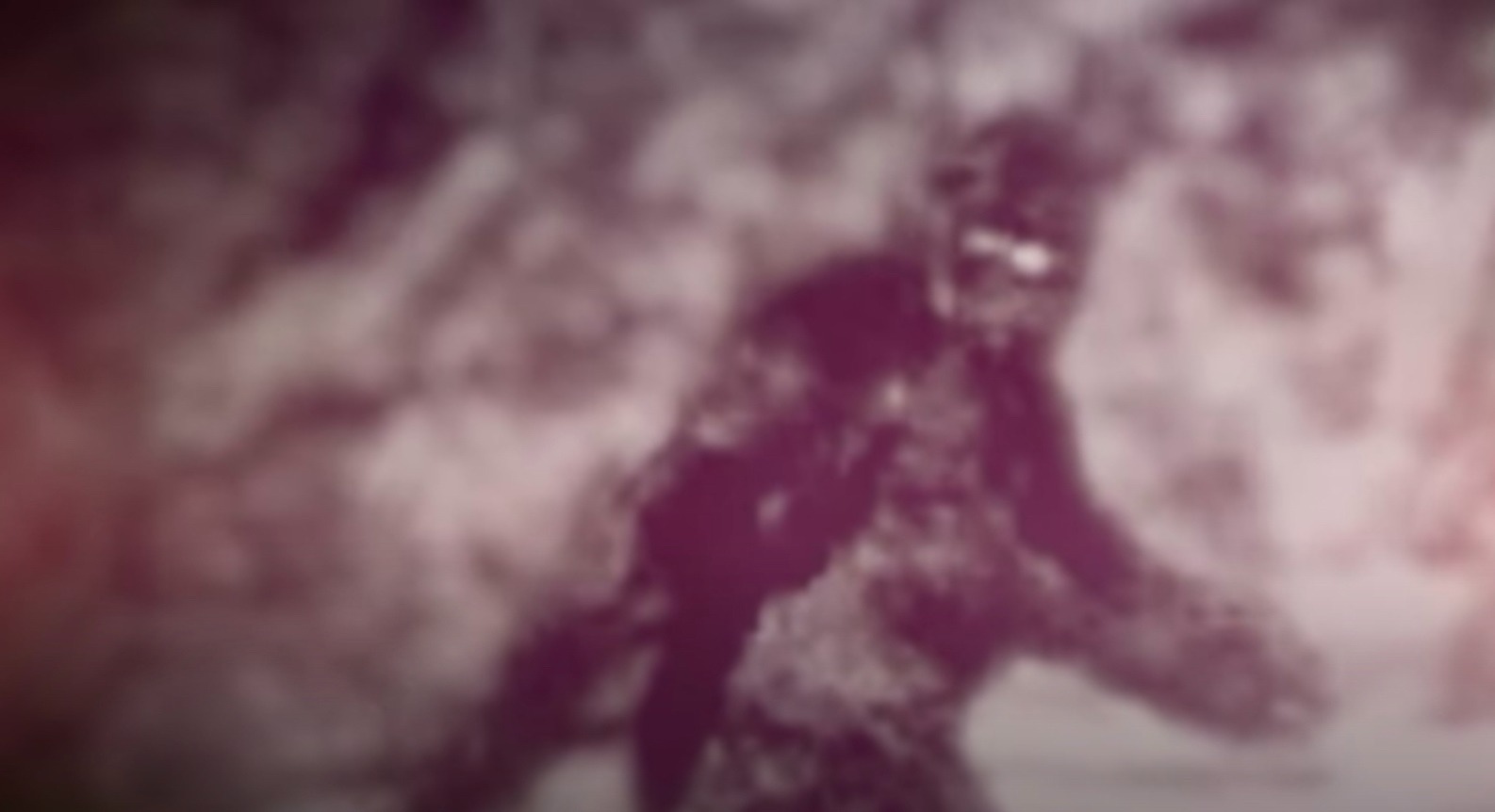 Điều gì sẽ xảy ra nếu Bigfoot thực sự tồn tại?- Ảnh 3. Cuộc truy tìm mắt xích còn thiếu trong tiến hóa